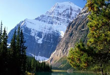 米乐体育：[图]曼城客场1-2遭布赖顿逆转 各项赛事4连败.