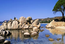 [德甲]特尔绝杀 拜仁逆转门兴保持不败.